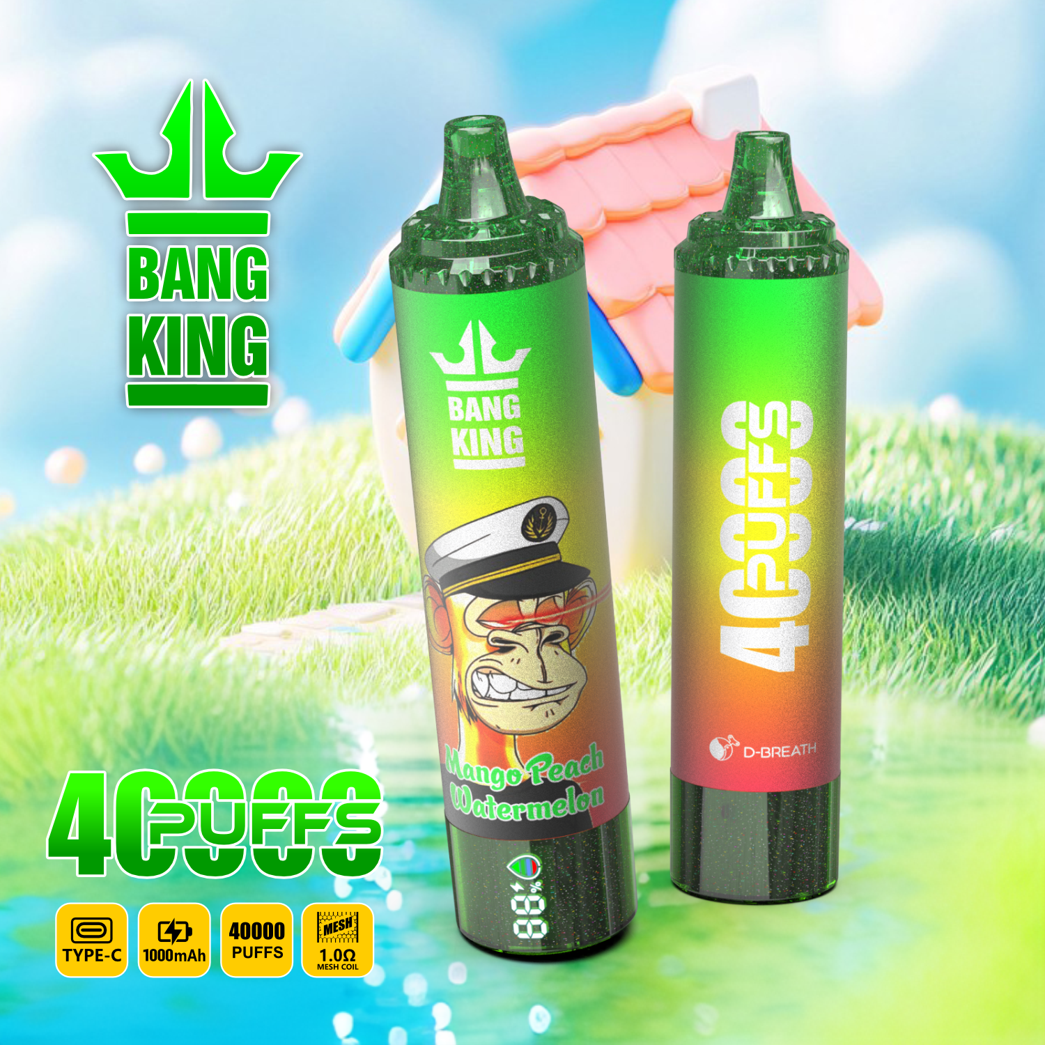 High Quality Bang 40000 DSK059 Wholesale Factory Supply TYPE C Nicotine 0% 2% 3% 5% Percent - Image 7