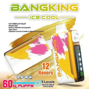 Bang King Ice Cool 60K – 60,000 Puffs Icy Flavor Sensation | 5 Levels Adjustable Coolness |Coolness level Nicotine 0% 2% 3% 5%